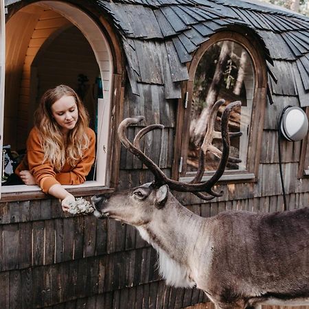 Igluhut - Sleep With Reindeer Espoo Exterior foto