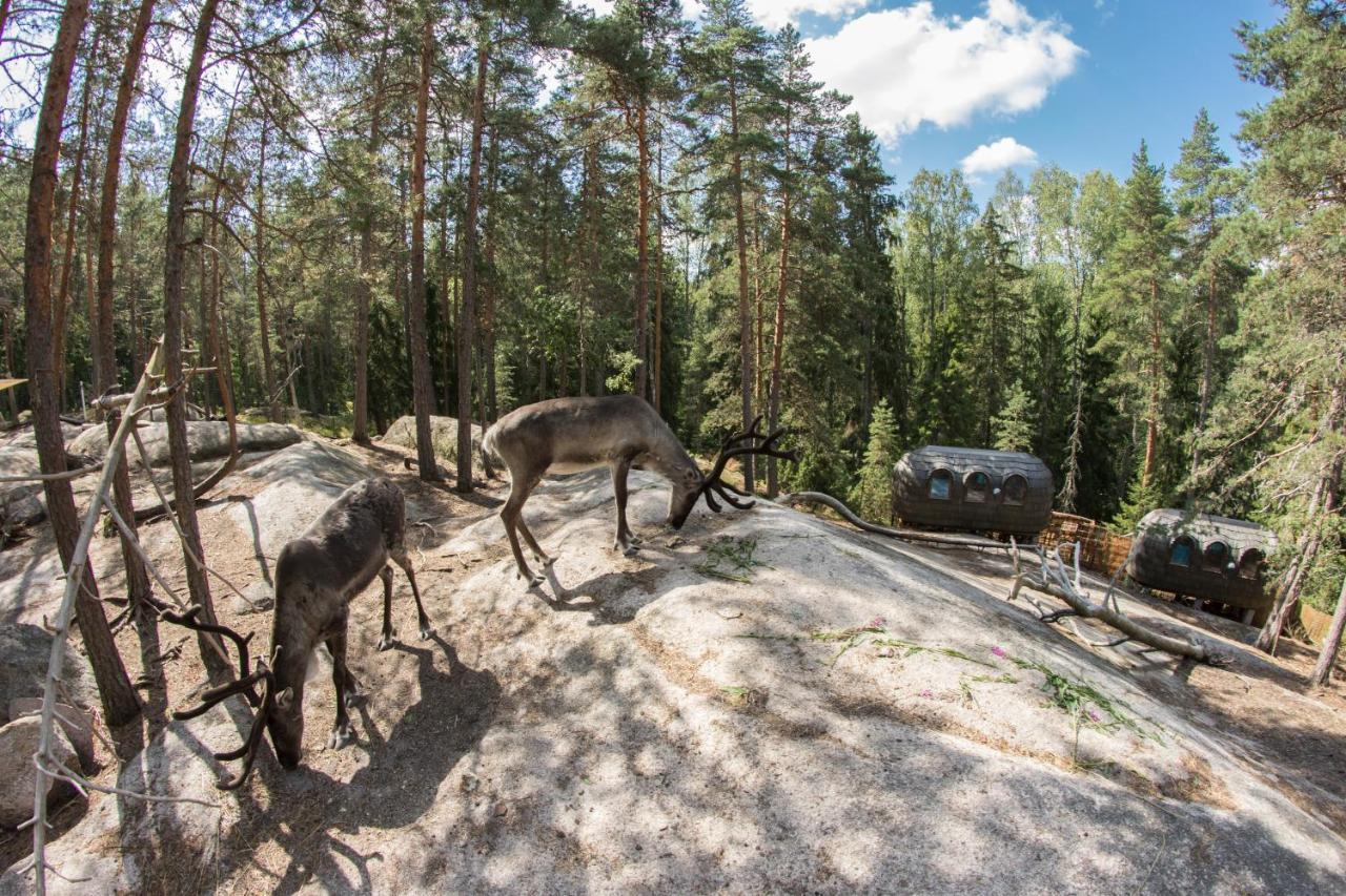 Igluhut - Sleep With Reindeer Espoo Exterior foto