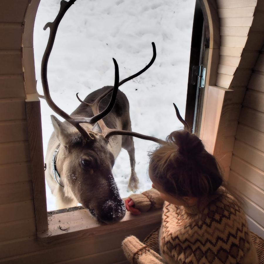 Igluhut - Sleep With Reindeer Espoo Exterior foto