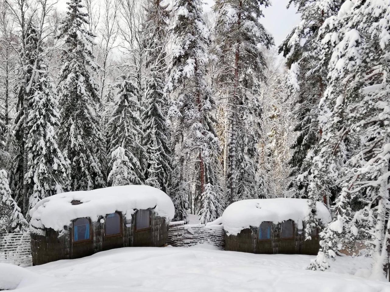 Igluhut - Sleep With Reindeer Espoo Exterior foto